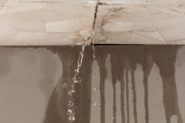 Professional Flood Damage Cleanup technician working in Wellsville, OH